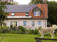 Das NF-Haus Ferchels mit Hund