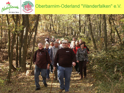 NaturFreunde RG Oberbarnim-Oderland beim Wandern